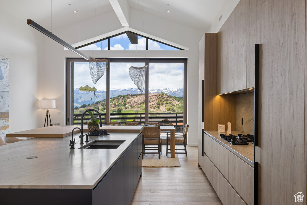 Kitchen featuring modern cabinets, light wood finished floors, a sink, a kitchen island with sink, and stainless steel gas cooktop