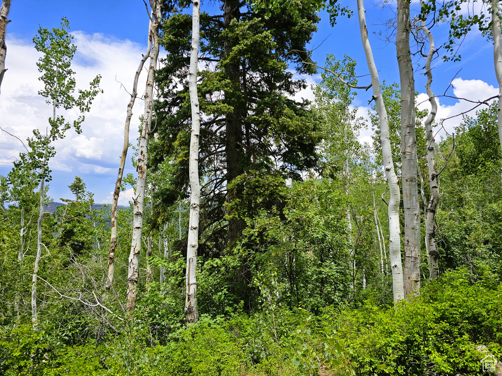 View of nature