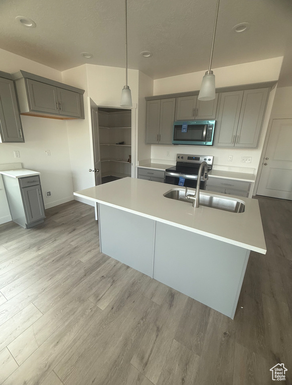 Kitchen featuring appliances with stainless steel finishes, gray cabinetry, a sink, light wood finished floors, and recessed lighting