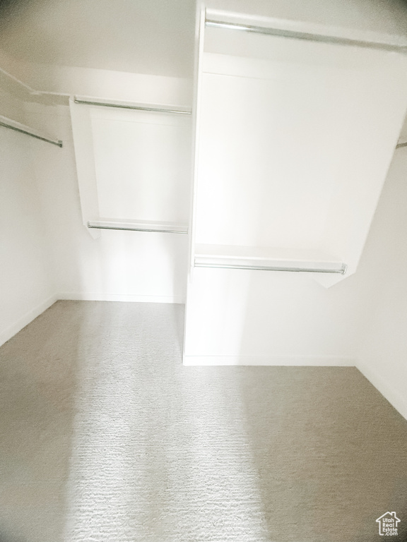 Walk in closet featuring carpet
