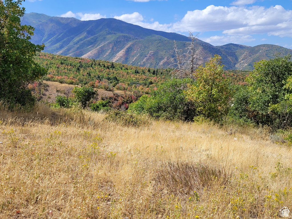 Mountain view