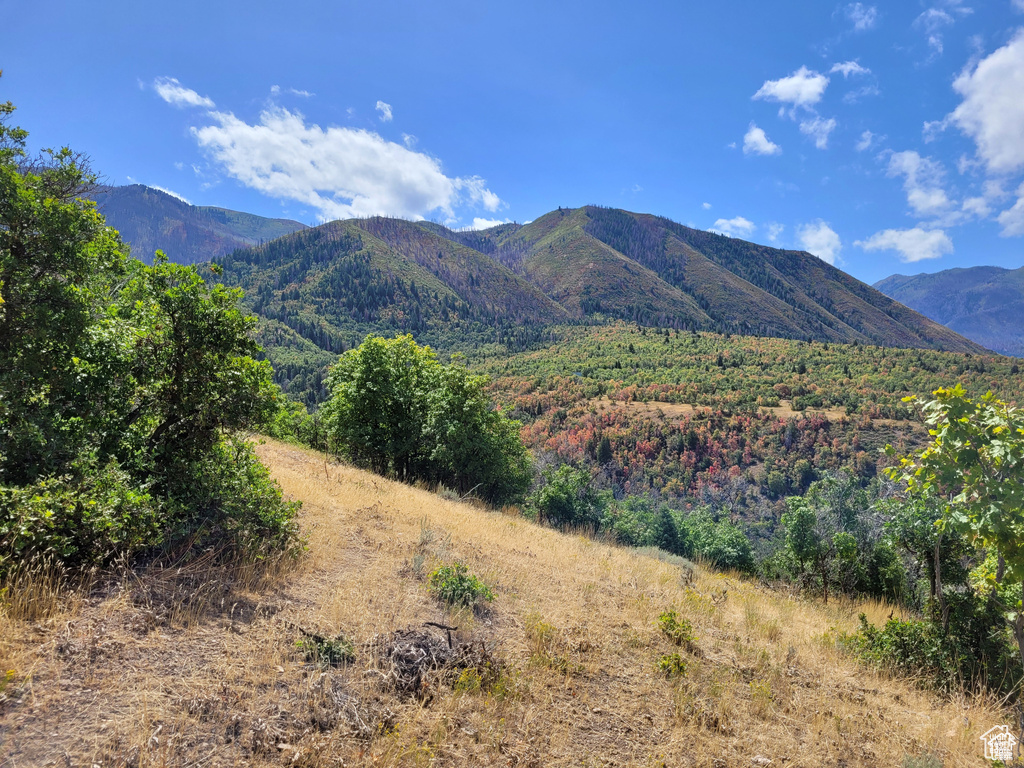 View of mountain background
