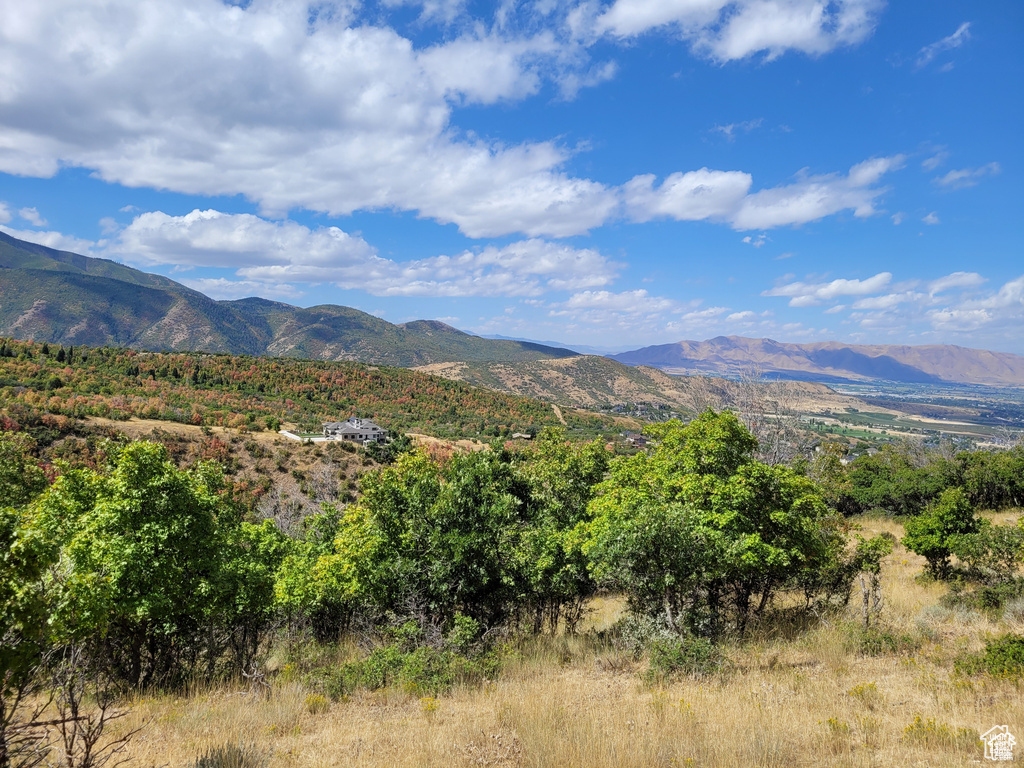 Mountain view