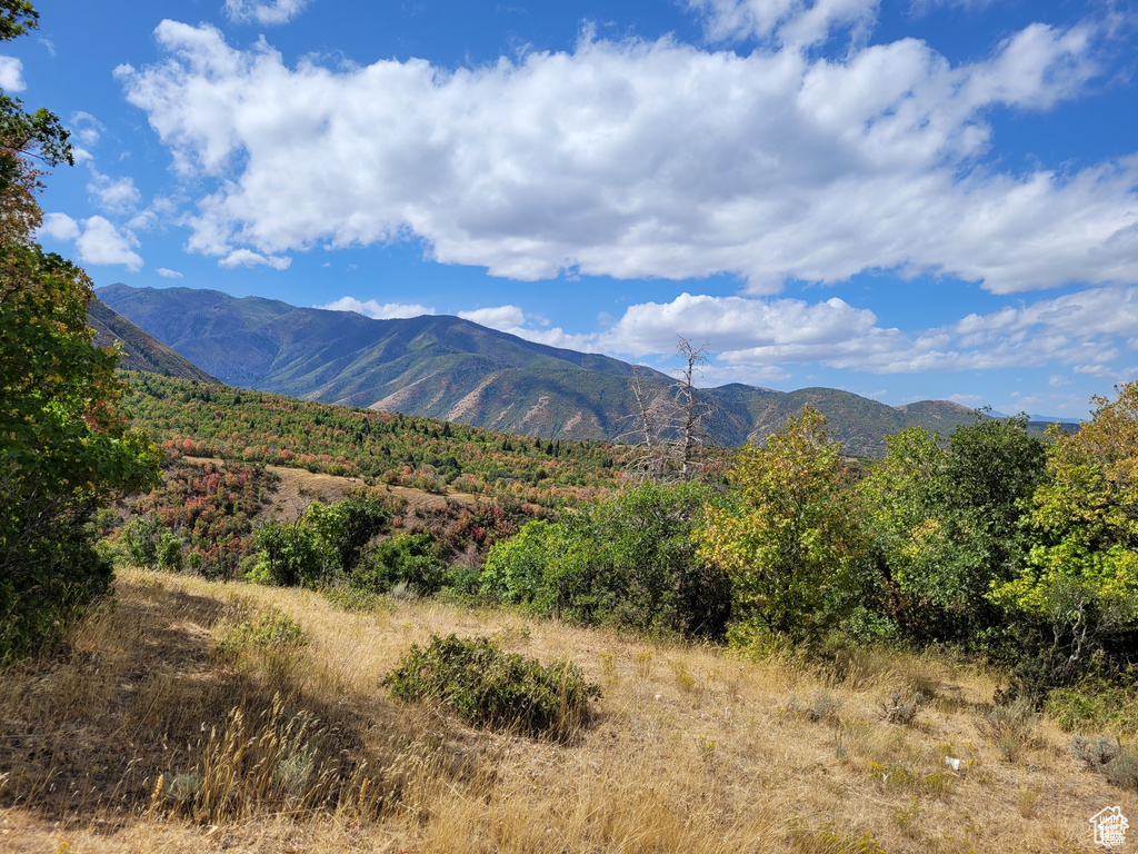 View of mountain background