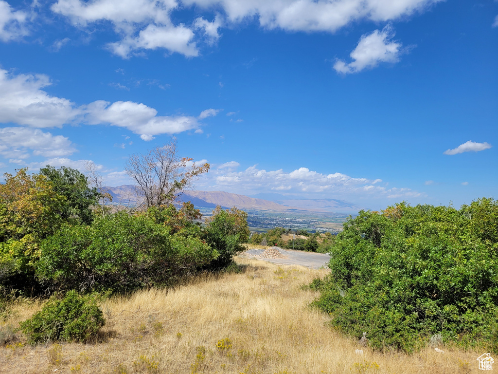 Mountain view