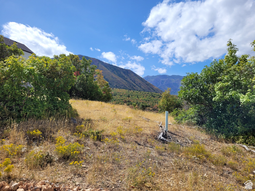 View of mountain background