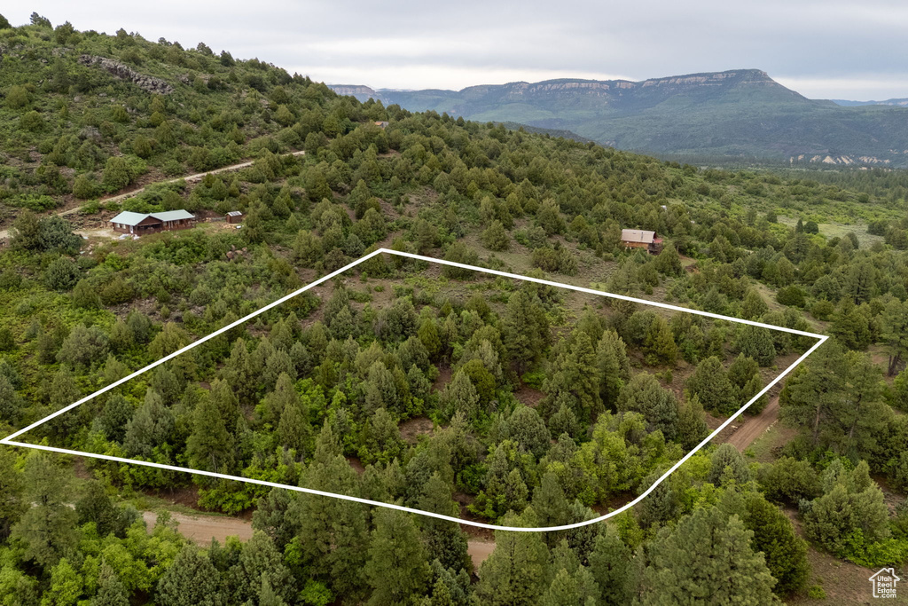Aerial overview of property's location with a heavily wooded area, property parcel outlined, and a mountainous background