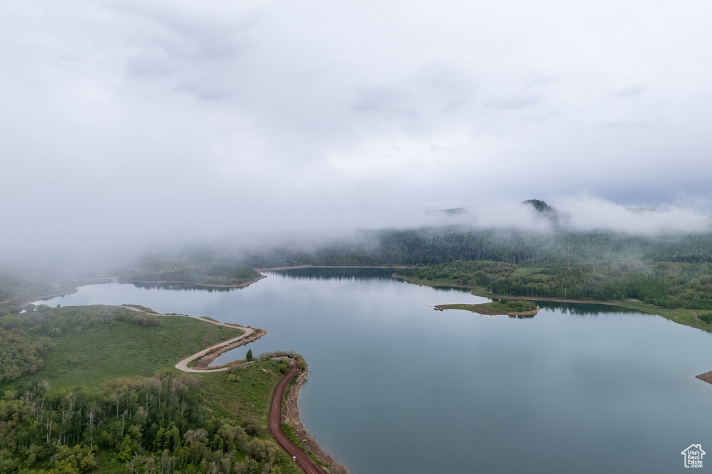 Aerial view of a large body of water and a heavily wooded area