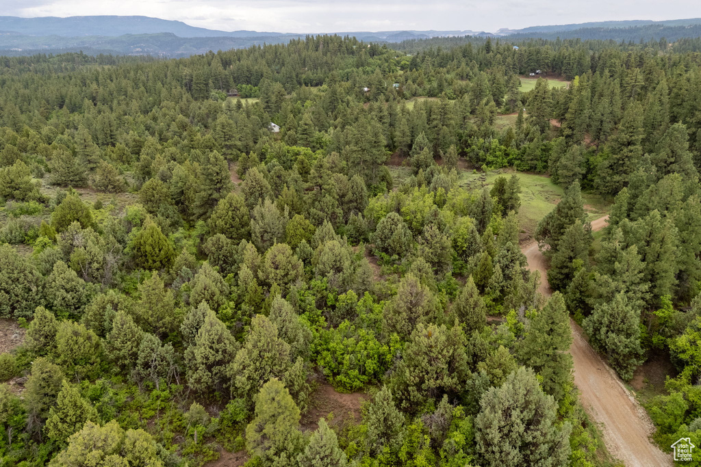 Bird's eye view of a forest and a mountain backdrop