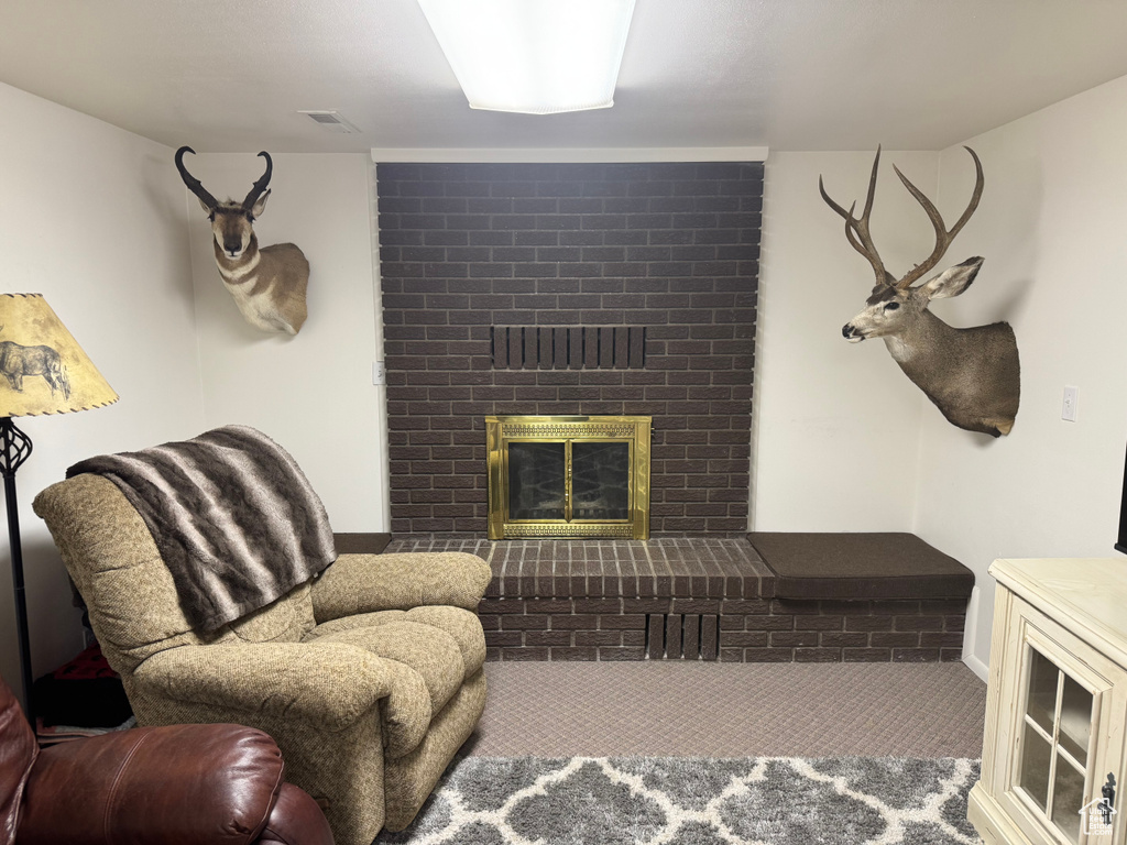 Living area with a fireplace