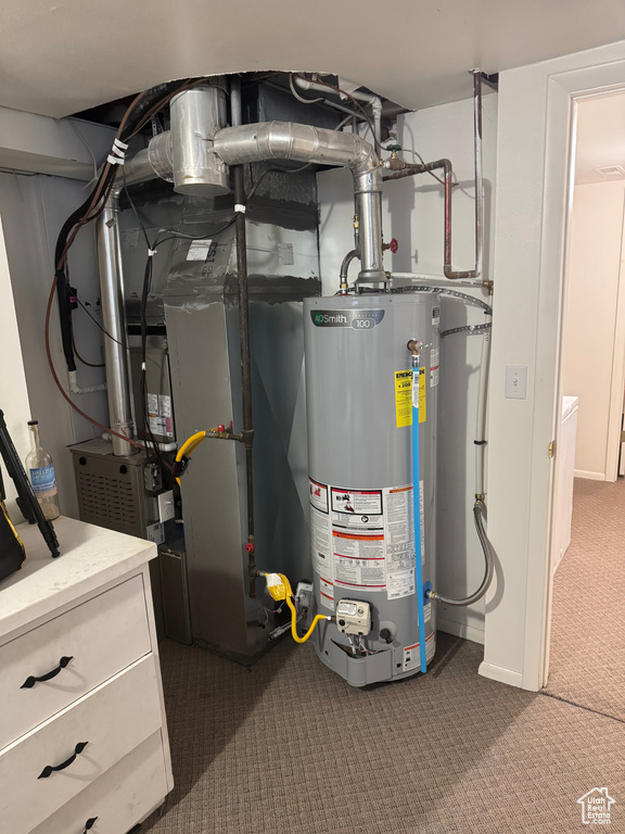 Utility room with gas water heater