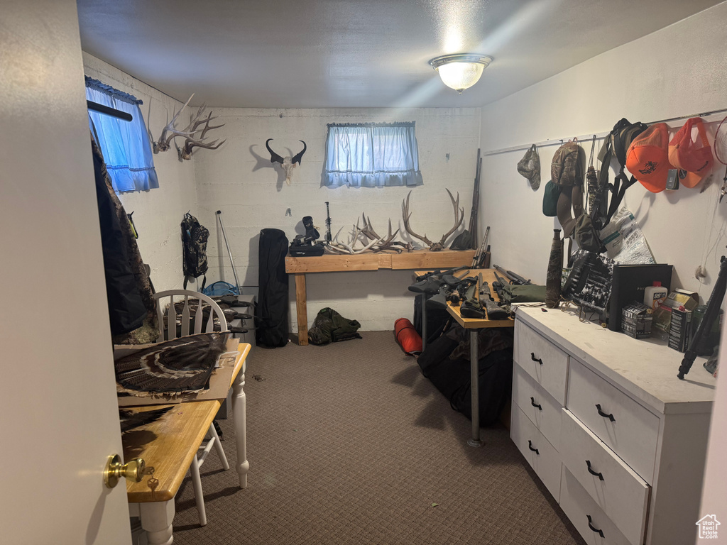 Interior space with carpet floors
