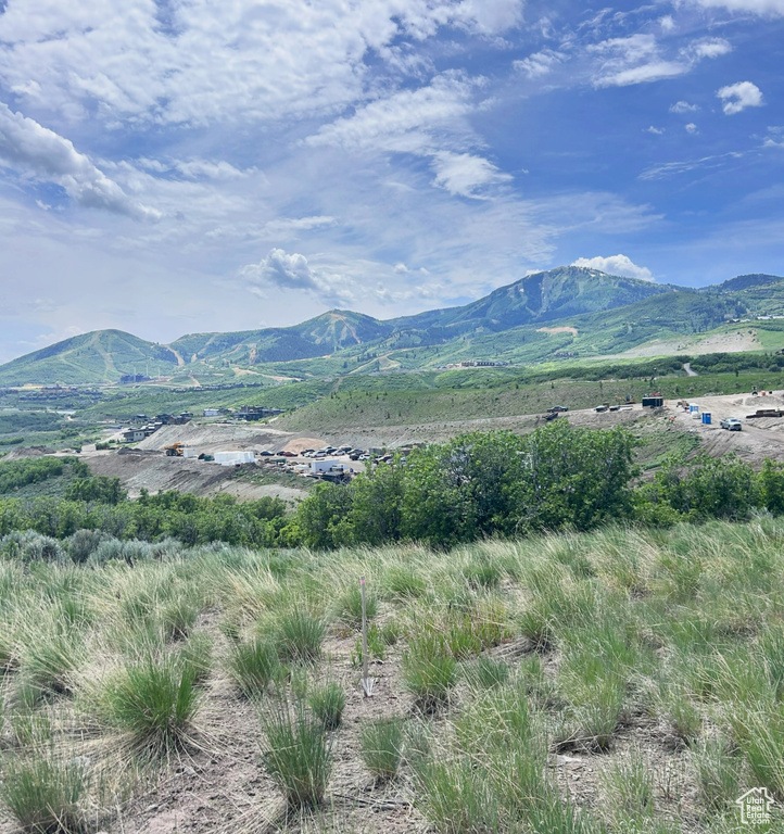 Mountain view