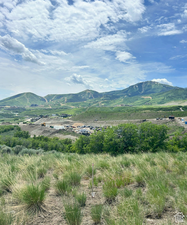 View of mountain backdrop