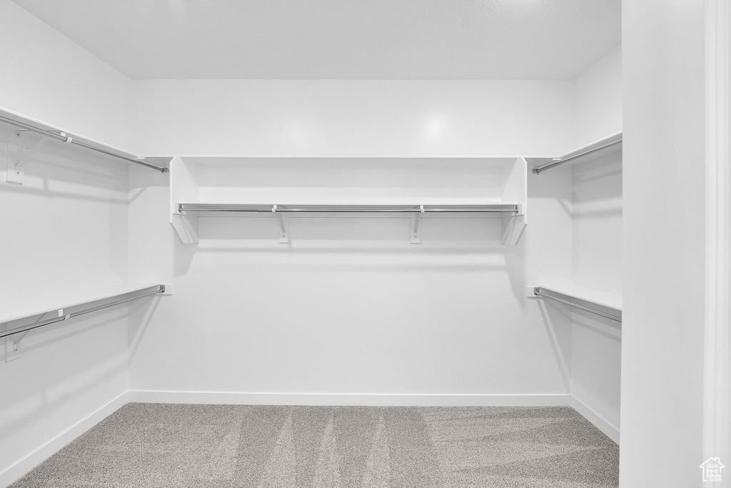 Spacious closet featuring carpet floors