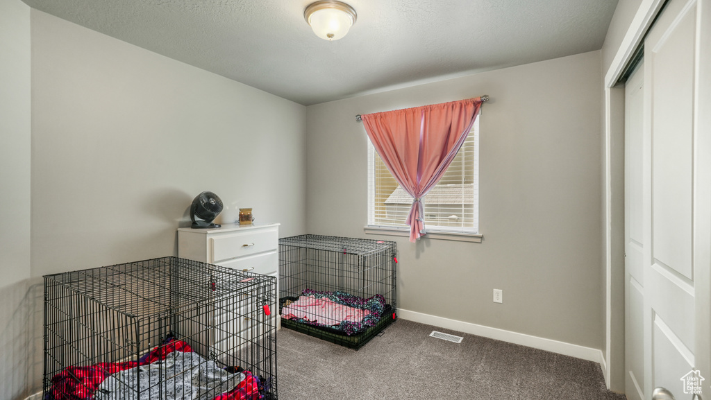 Bedroom featuring carpet floors, baseboards, and a closet