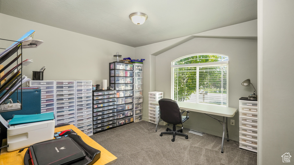 Office featuring carpet