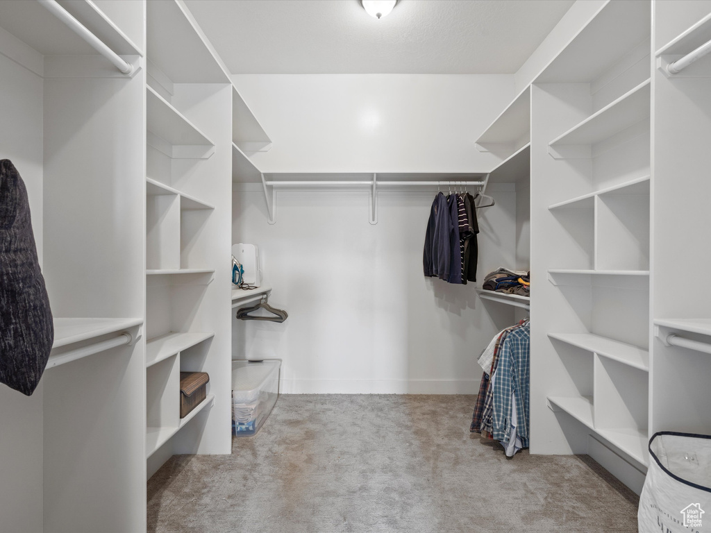 Walk in closet featuring carpet floors