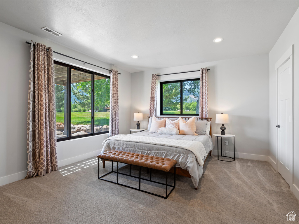 Bedroom with carpet floors, baseboards, and recessed lighting