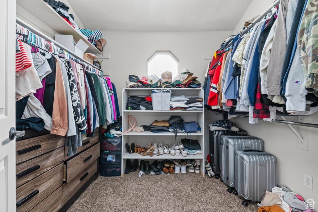 Spacious closet featuring carpet flooring