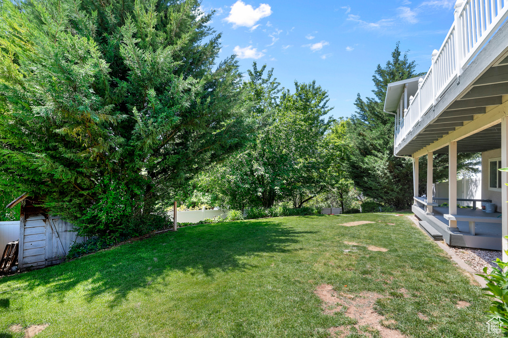 View of grassy yard