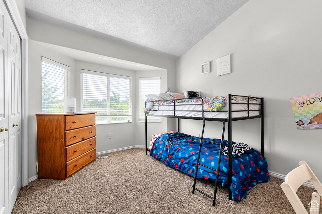 Bedroom featuring carpet flooring, vaulted ceiling, a textured ceiling, baseboards, and a closet