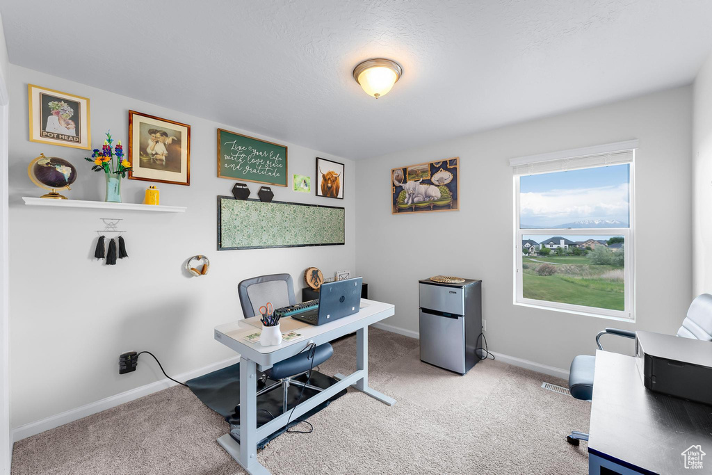 Office with carpet flooring and baseboards