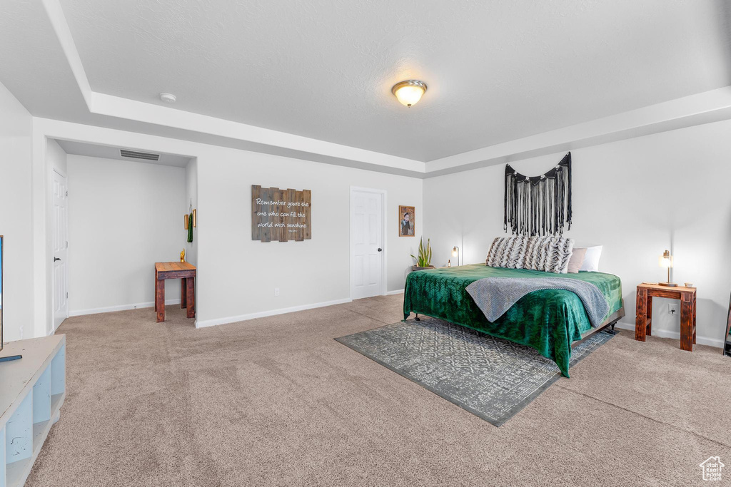 Bedroom with carpet, baseboards, and a tray ceiling