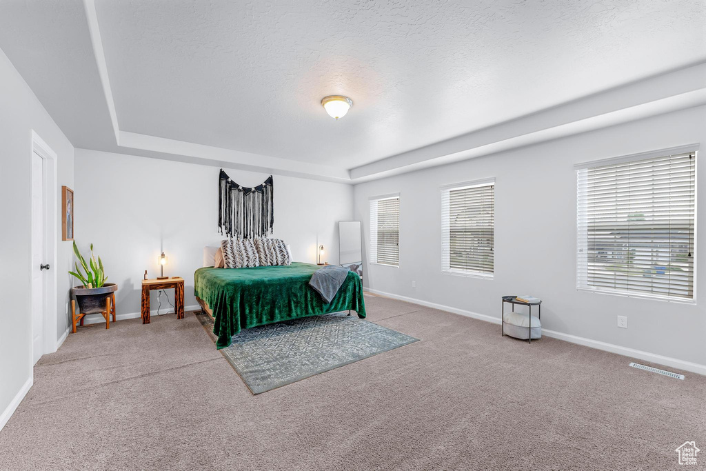 Carpeted bedroom featuring baseboards, a tray ceiling, and a textured ceiling