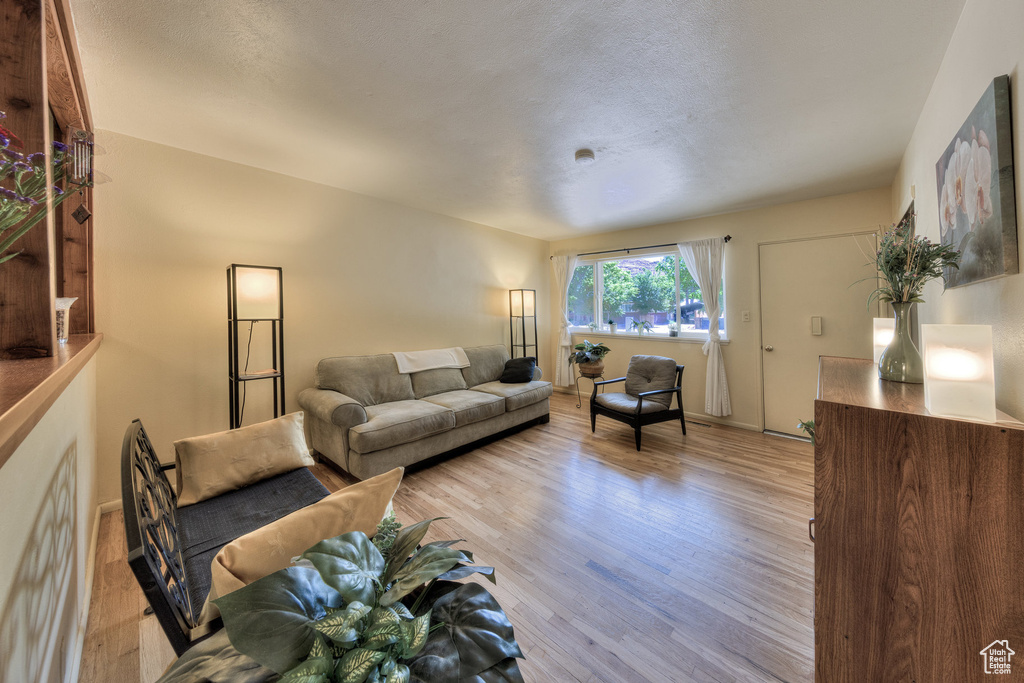 Living room featuring light wood-type flooring