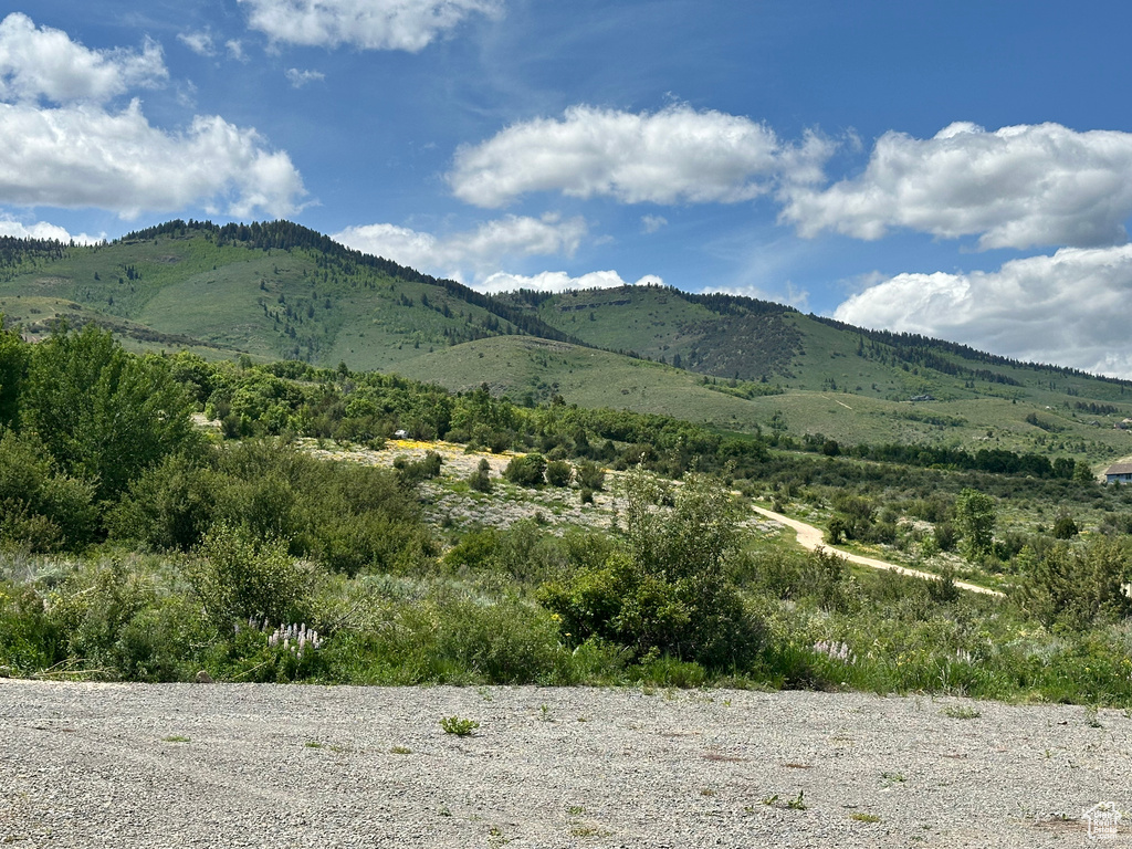 View of mountain background