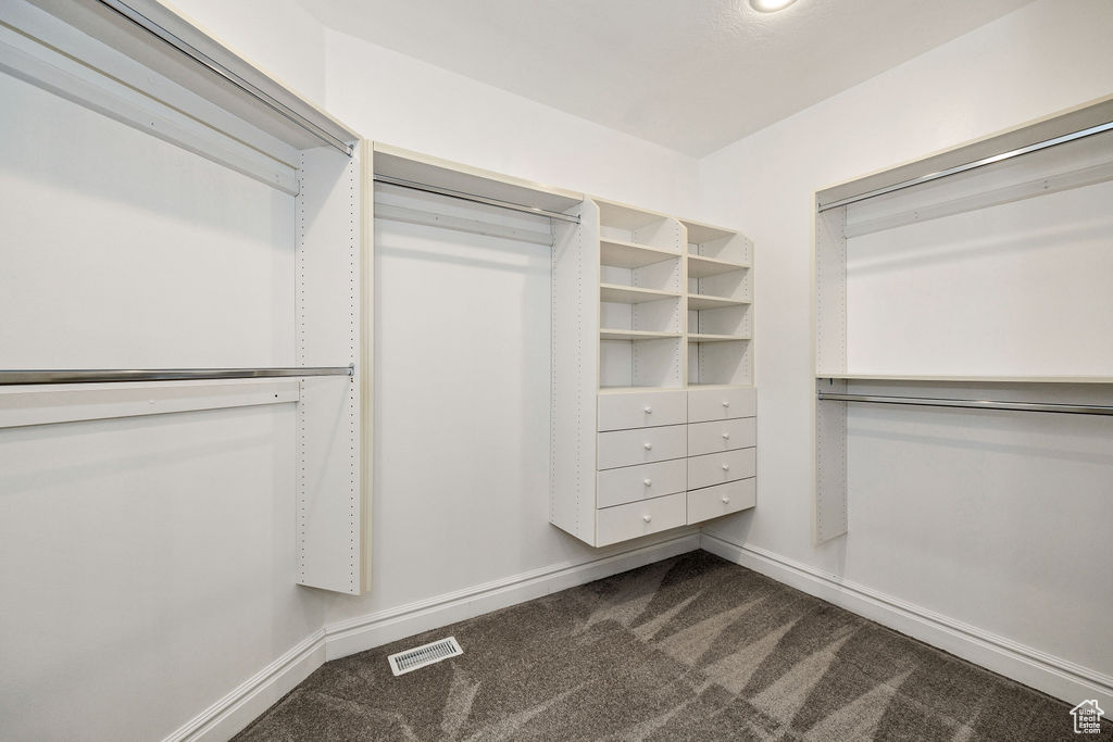 Spacious closet featuring dark carpet