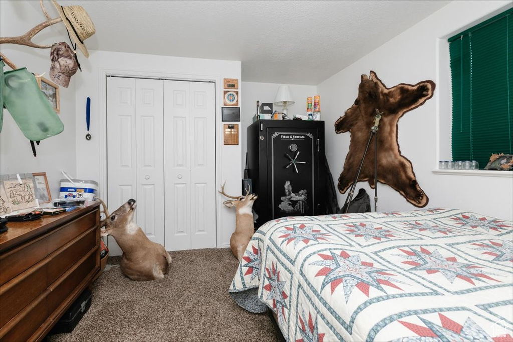 Carpeted bedroom featuring a closet