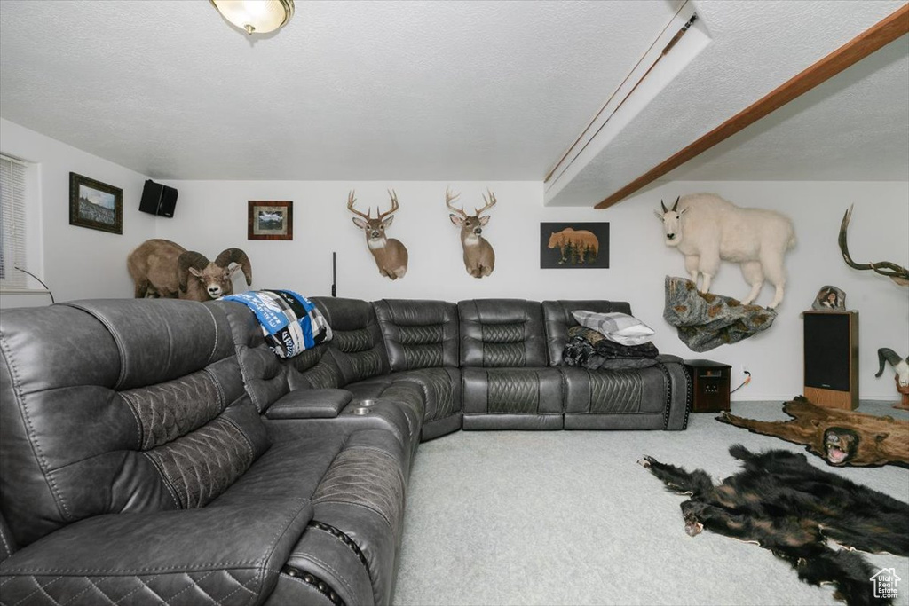 Living area with carpet floors