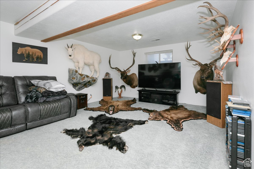Living room featuring carpet