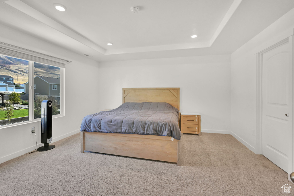 Carpeted bedroom featuring a tray ceiling, baseboards, and recessed lighting