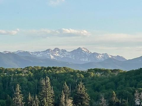 View of mountain background featuring a heavily wooded area