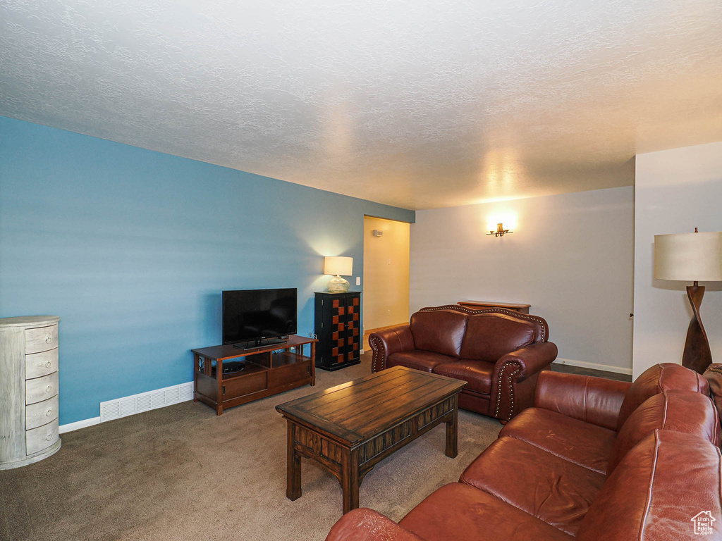 Carpeted living area with a textured ceiling and baseboards