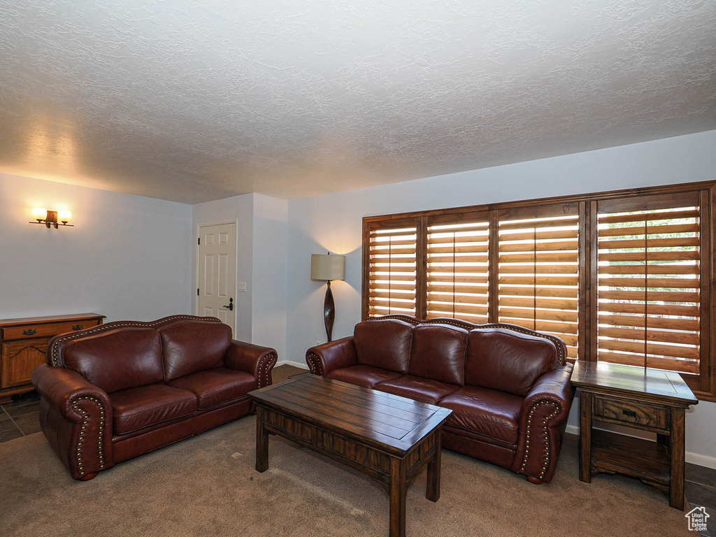 Living area with a textured ceiling, carpet, and baseboards