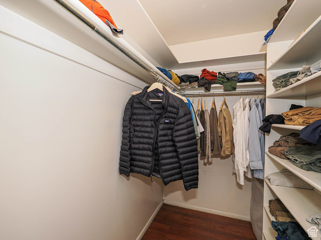 Walk in closet with wood finished floors
