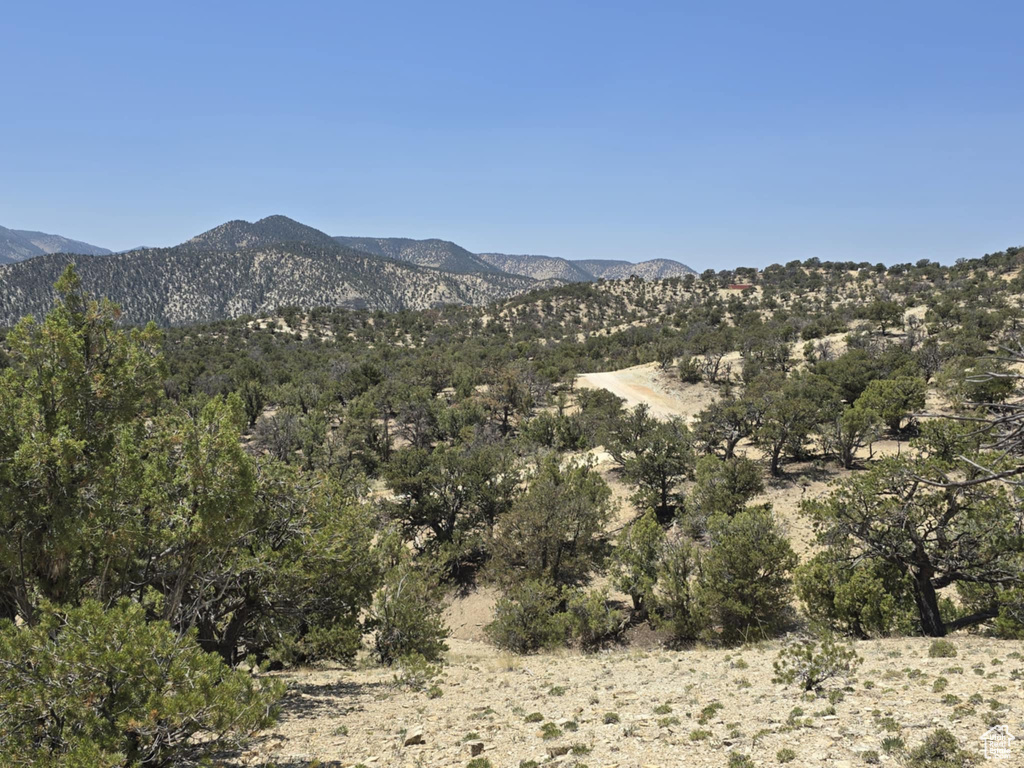 35700  STRAWBERRY RIVER RD Duchesne, UT 84021