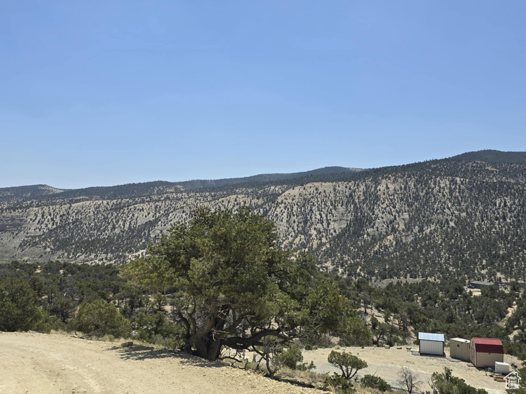 35700  STRAWBERRY RIVER RD Duchesne, UT 84021