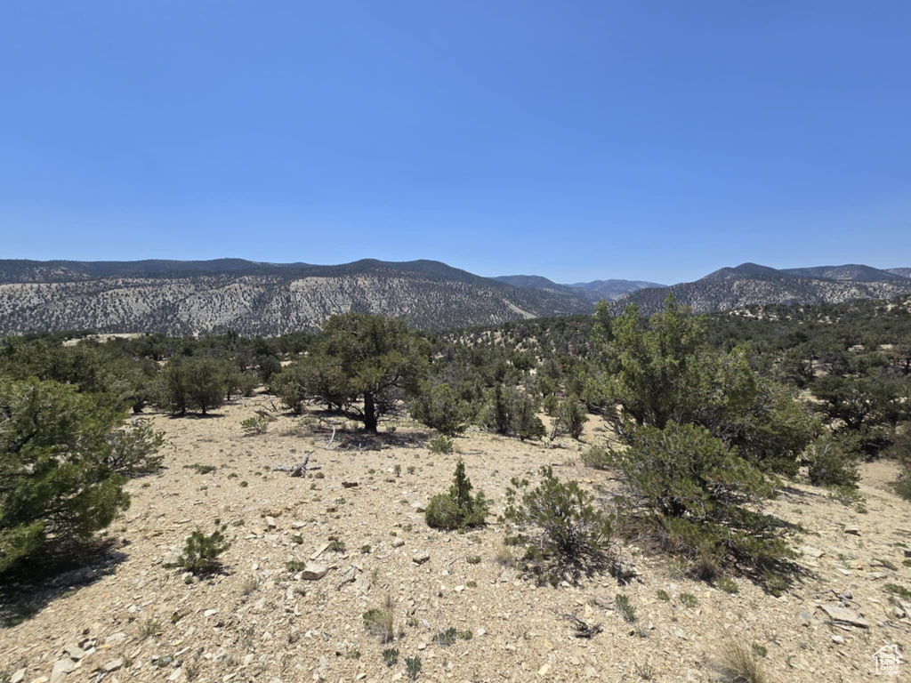 35700  STRAWBERRY RIVER RD Duchesne, UT 84021