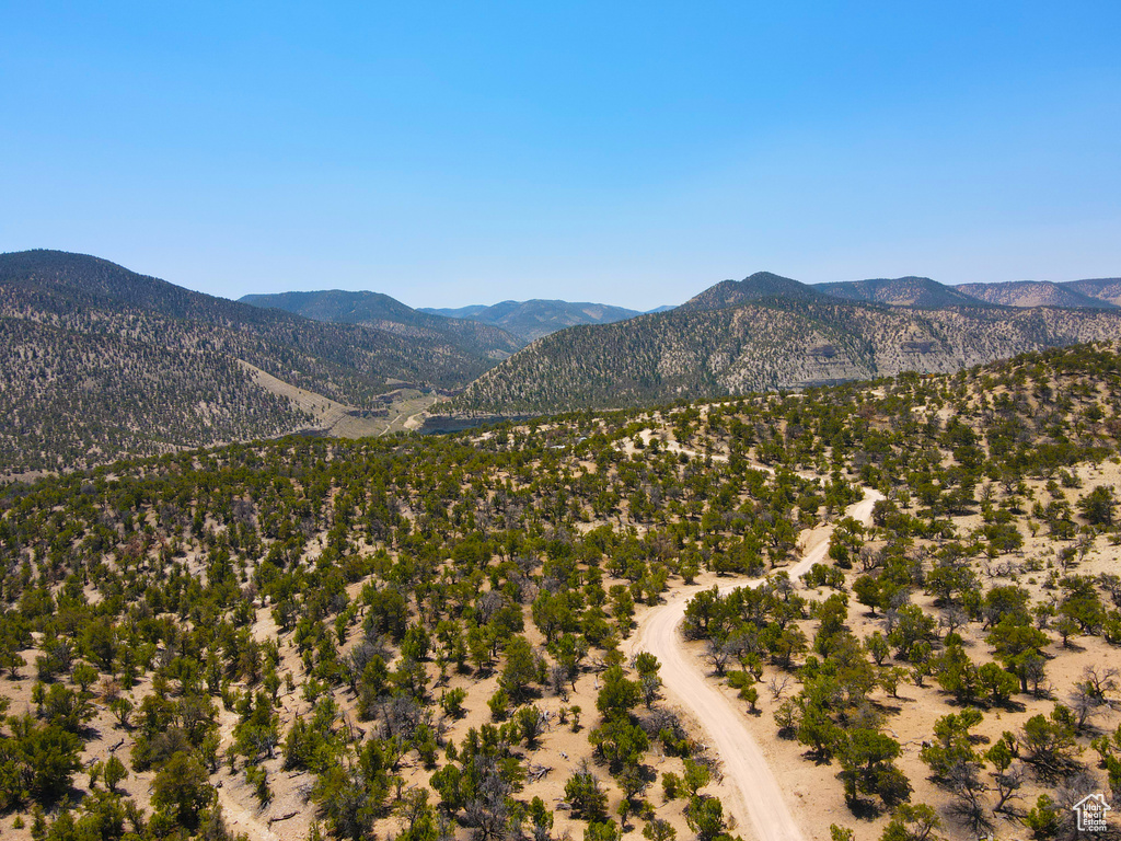 35700  STRAWBERRY RIVER RD Duchesne, UT 84021