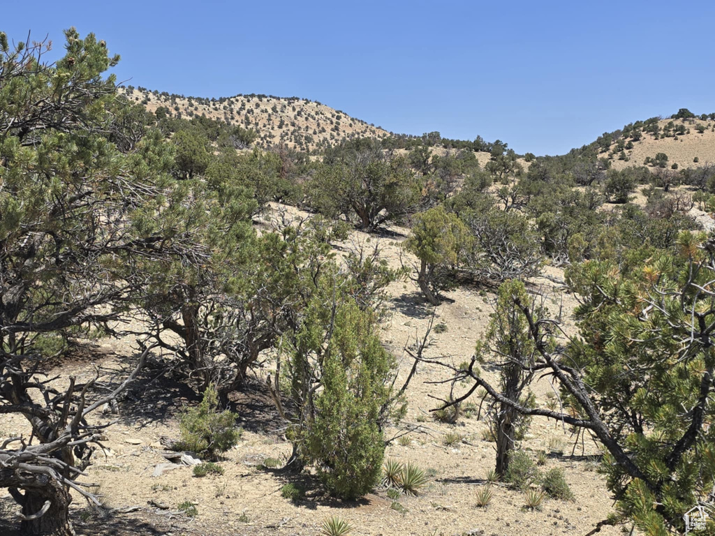35700  STRAWBERRY RIVER RD Duchesne, UT 84021