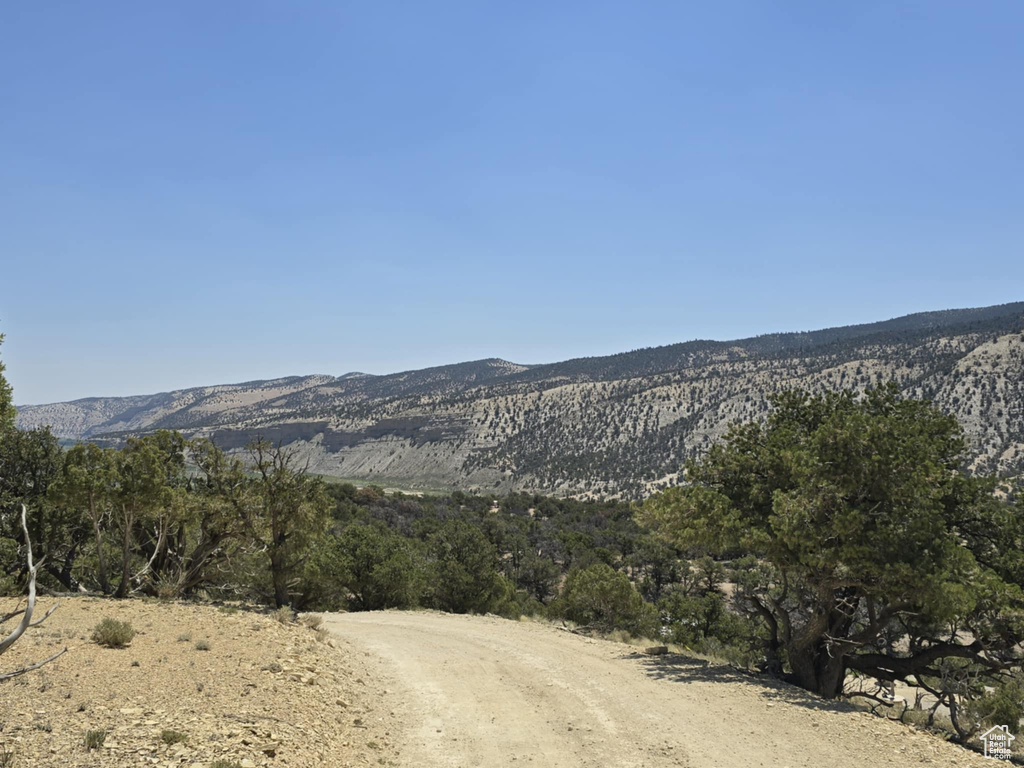 35700  STRAWBERRY RIVER RD Duchesne, UT 84021