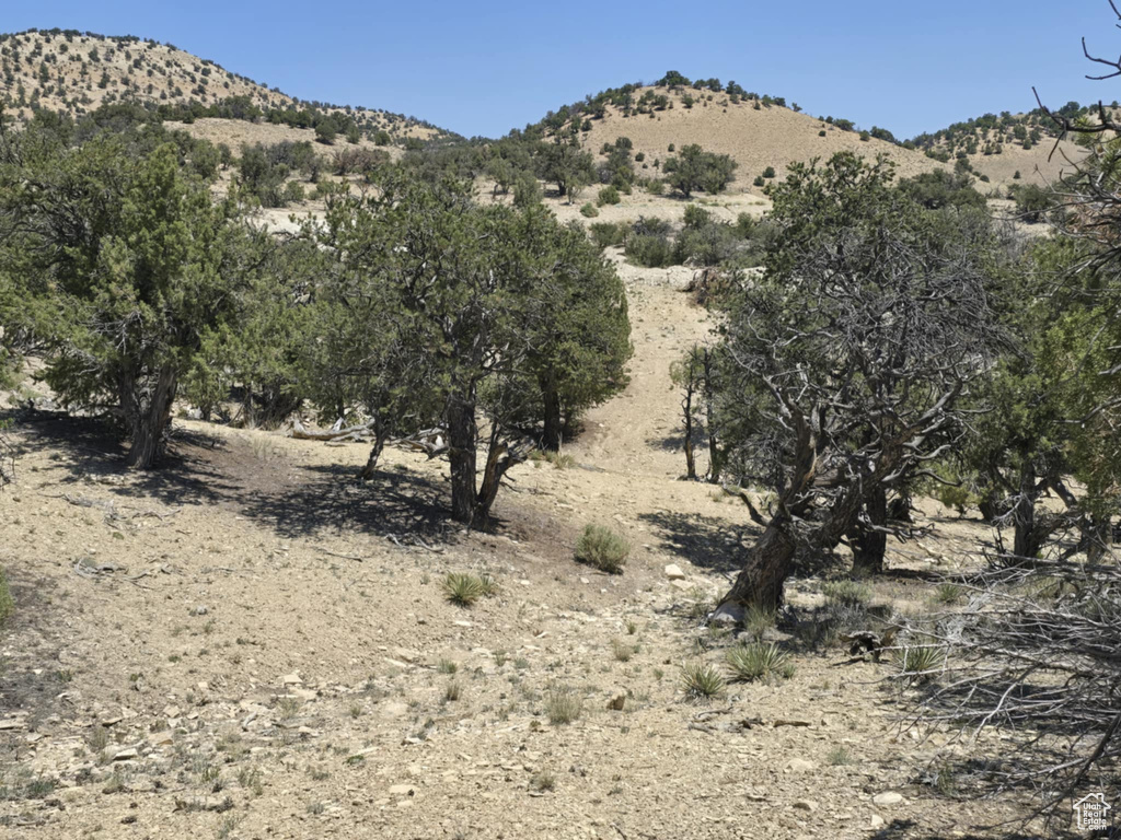 35700  STRAWBERRY RIVER RD Duchesne, UT 84021