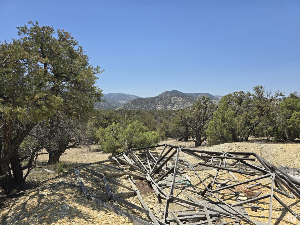 35700  STRAWBERRY RIVER RD Duchesne, UT 84021