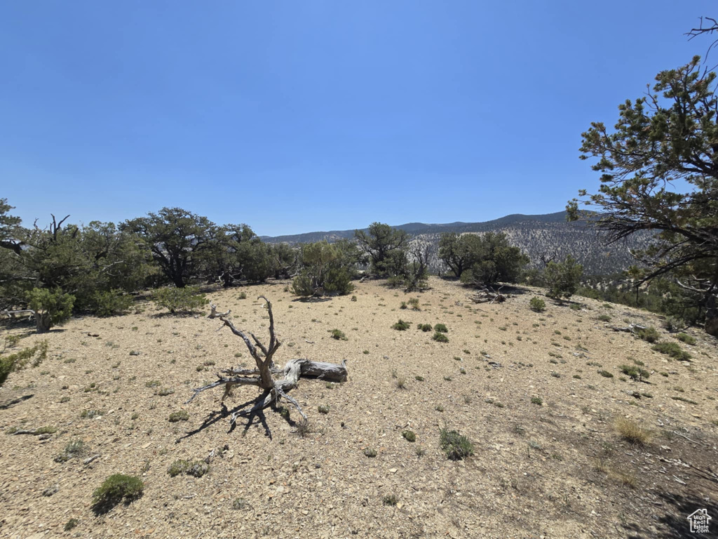35700  STRAWBERRY RIVER RD Duchesne, UT 84021