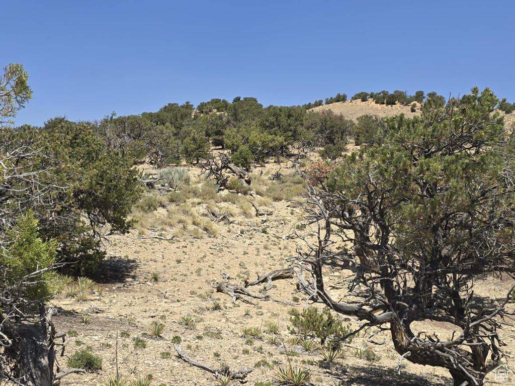 35700  STRAWBERRY RIVER RD Duchesne, UT 84021